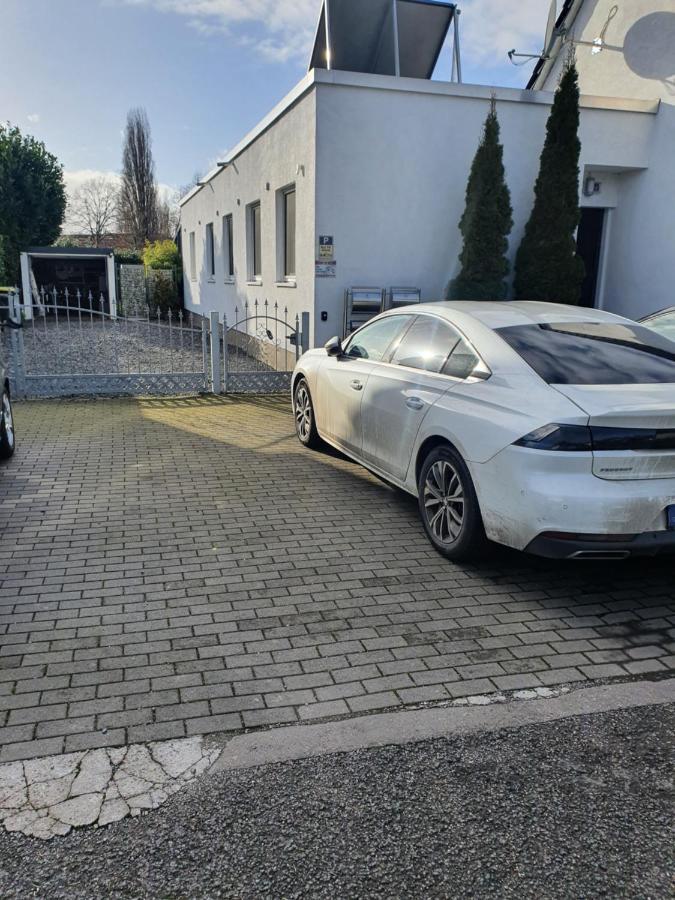 Zwei Schicke Apartments Mit Parkplatz Köln Eksteriør bilde